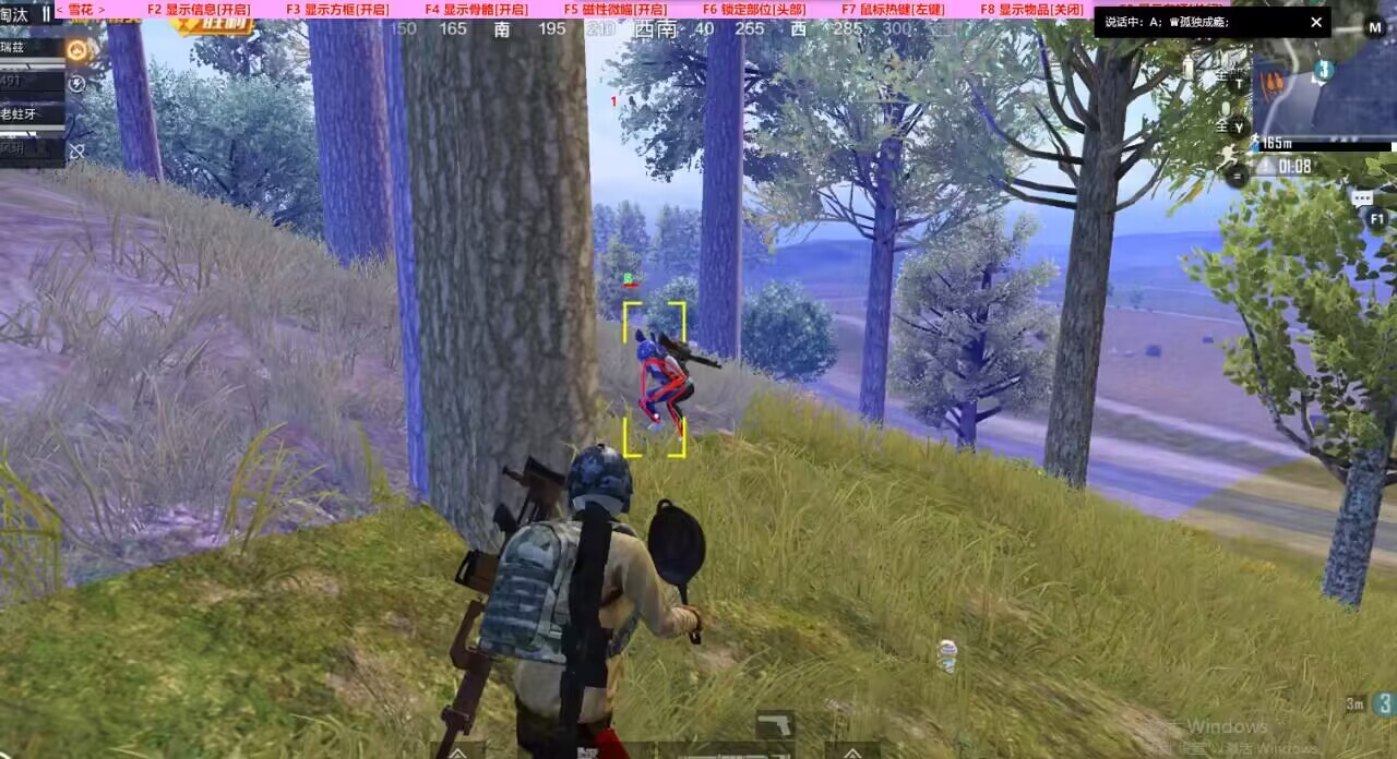 和平精英辅助【DODO】